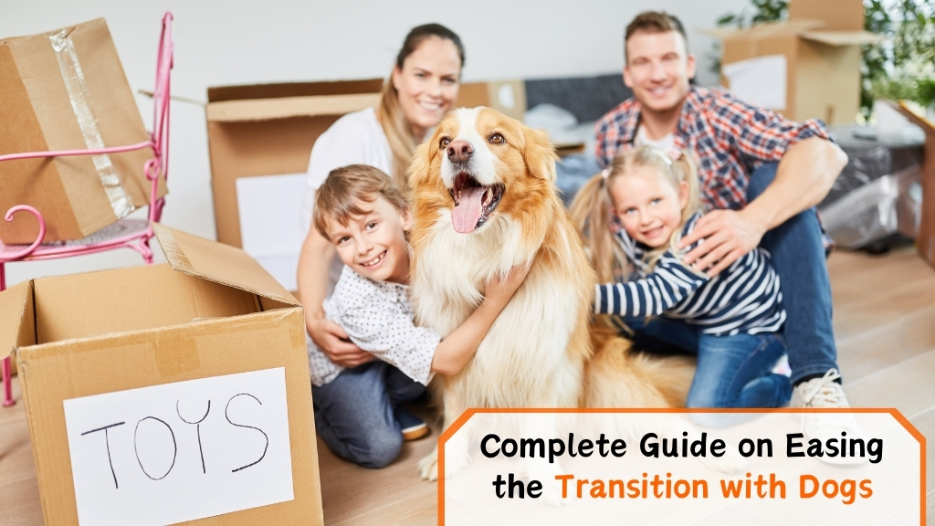 Complete guide on easing the transition with dogs